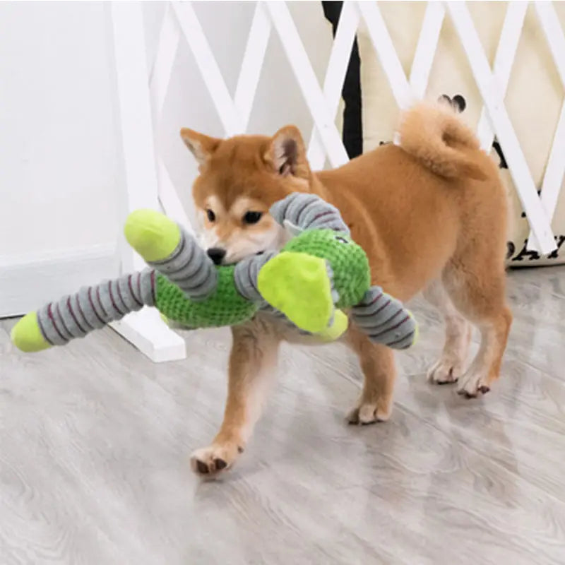 Jouet Sonore Indestructible pour Chiot & Chien