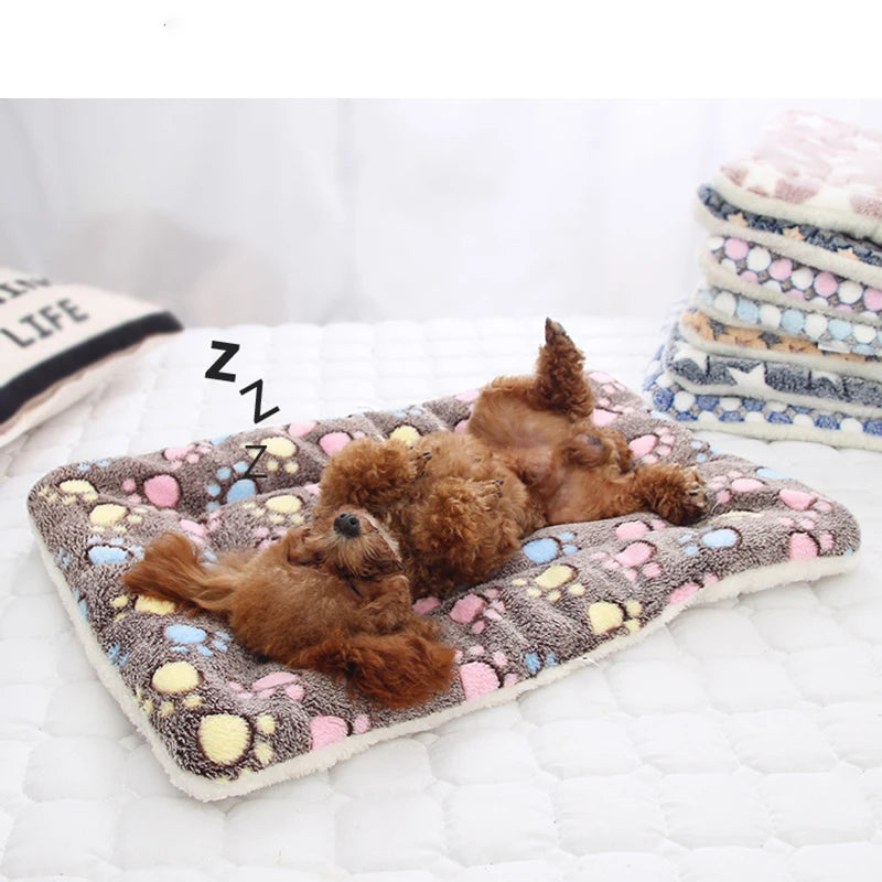 Comfortable Puppy &amp; Kitten Bed