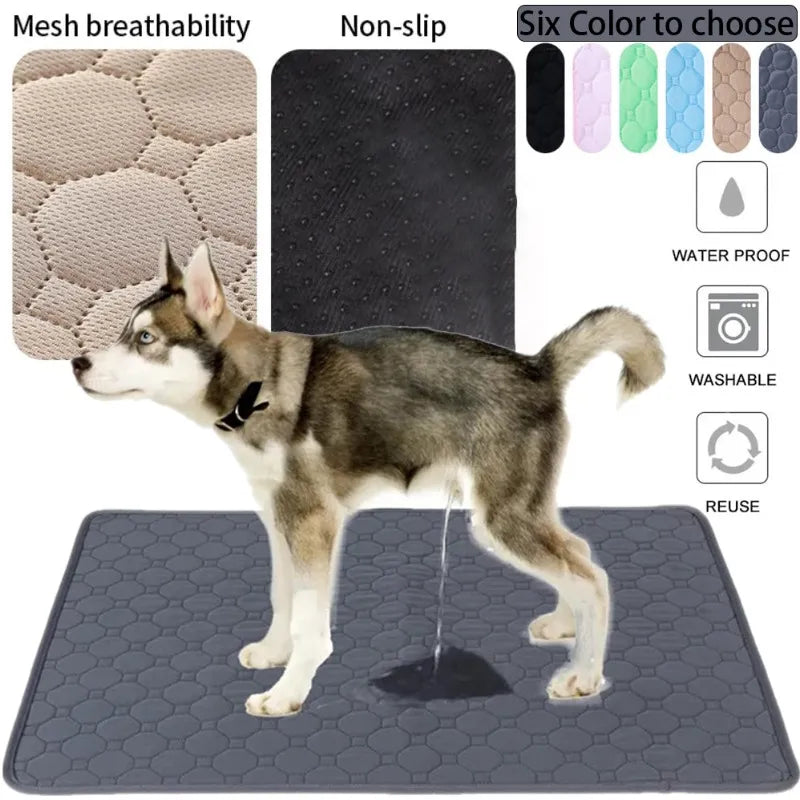 Manta absorbente para cachorros y gatitos 