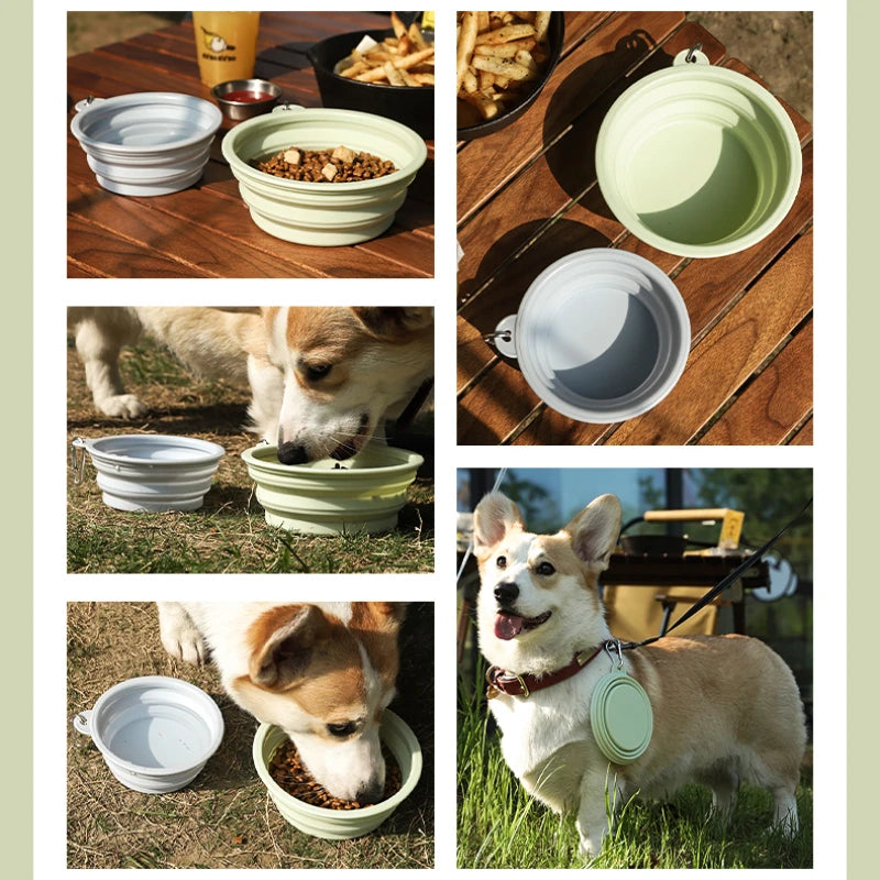 Gamelle silicone pliable pour Chien et Chat
