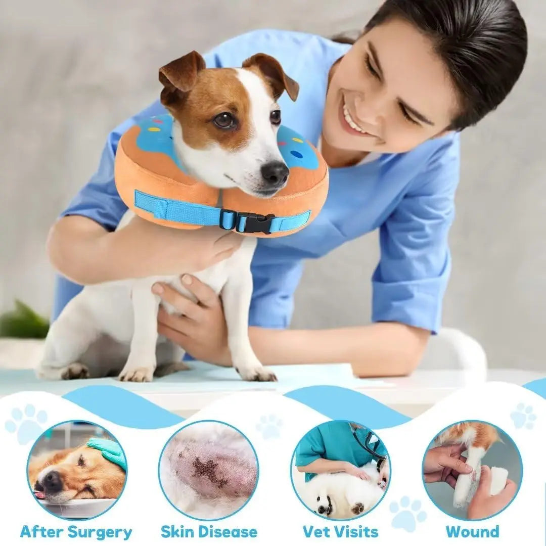Inflatable Dog Collar After Surgery 