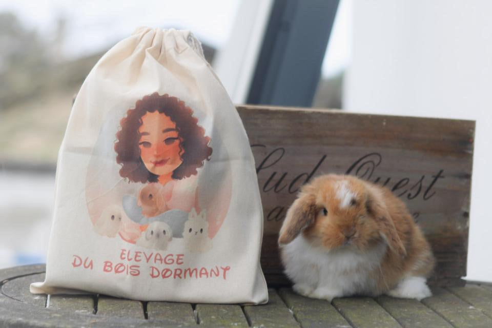 Bolsas personalizadas con logotipo de cría de perros o felinos 