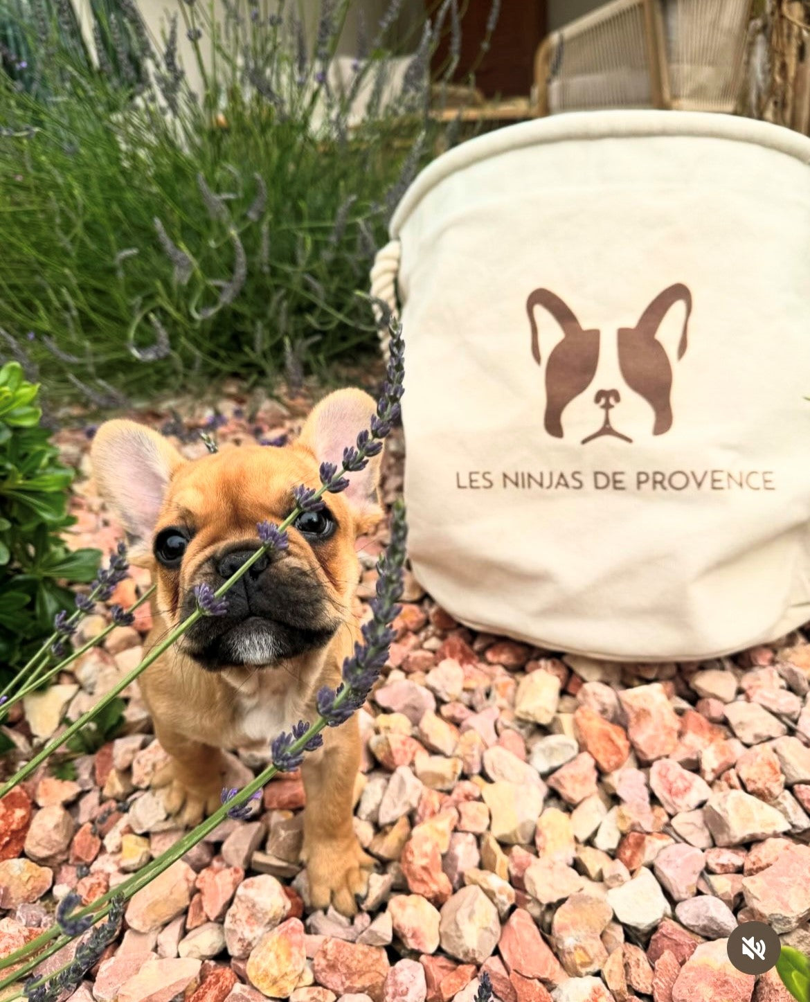Bolsas personalizadas con logotipo de cría de perros o felinos 