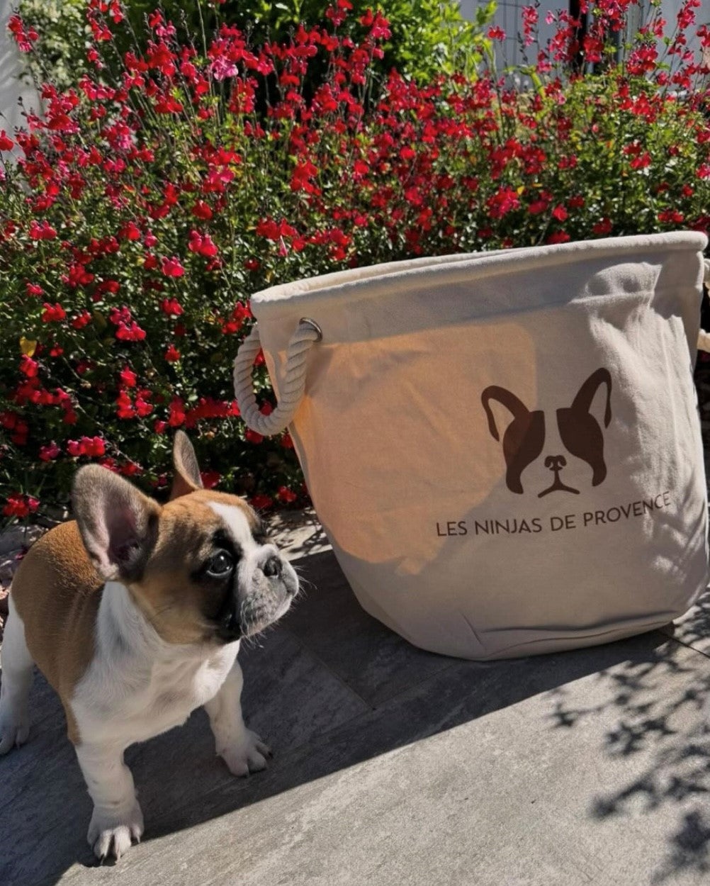 Bolsas personalizadas con logotipo de cría de perros o felinos 