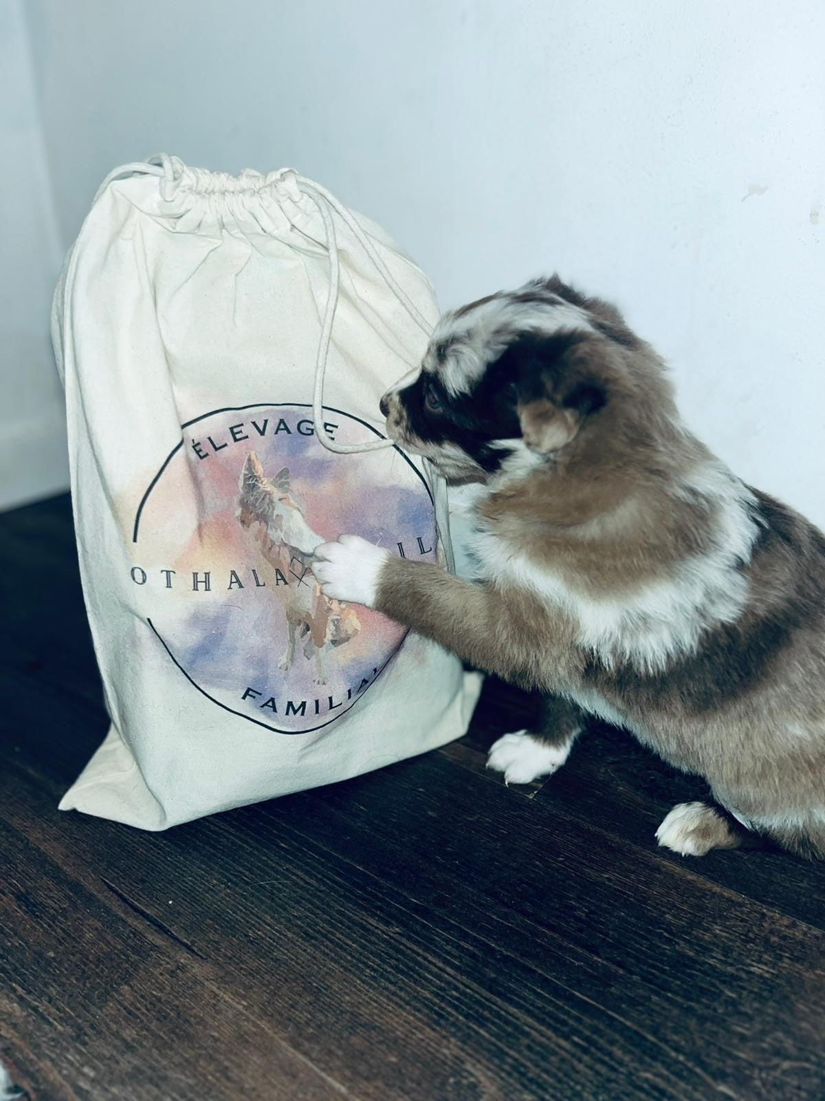Bolsas personalizadas con logotipo de cría de perros o felinos 